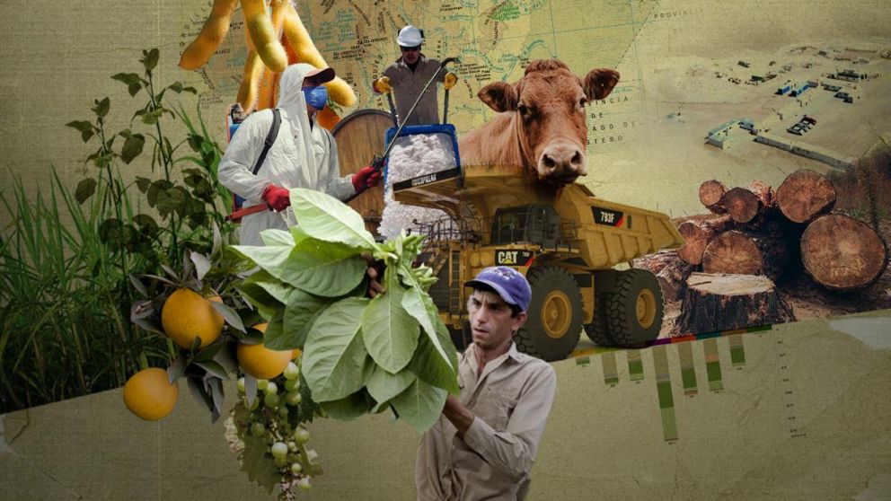 Amrica Latina frente al reto de exportar sin deforestar: un desafo que redefine el campo