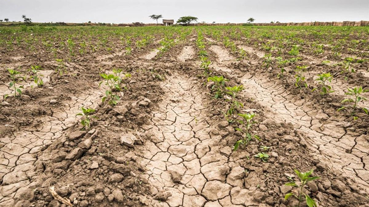 Veinticinco meses sin alivio: la prolongada sequía pone al campo del norte de México al límite
