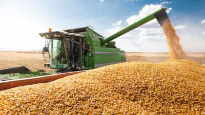 El campo sigue apostando, pero reclama reglas que no frenen su motor