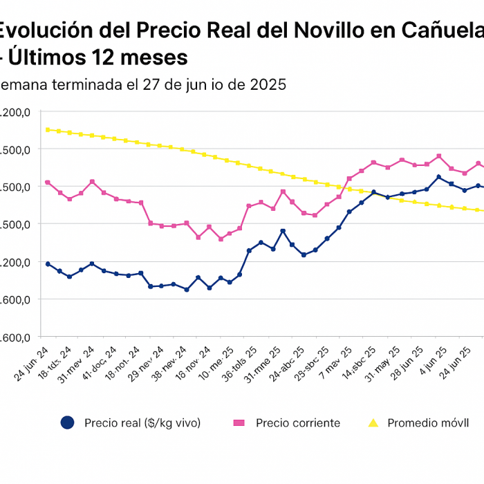 Vacas en alza: el dato inesperado que sorprendió al Mercado de Cañuelas