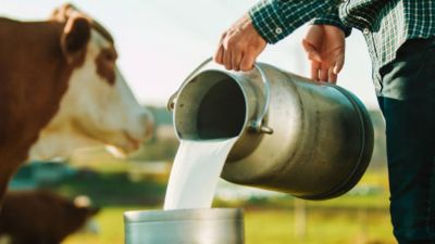Industria láctea al borde del cambio: FAO impulsa innovación y transferencia tecnológica
