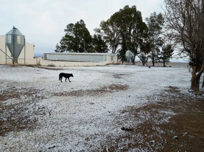 Alerta máxima por frío polar: récords bajo cero y parálisis en el campo argentino