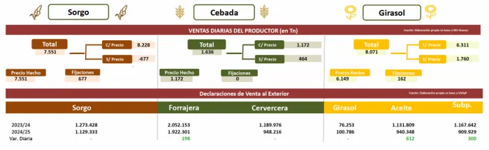 Comercialización de Granos: Caída de volúmenes y cambios contractuales en la campaña 2024/25