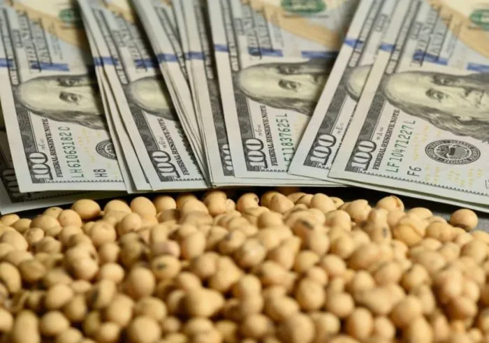 Mercados agrícolas: el dólar fuerte limita los granos, EE.UU. inicia la cosecha de soja, Brasil proyecta récord y Argentina acelera la siembra de maíz