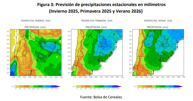 Girasol Argentino: Crece la siembra y despierta expectativas en la 2025/26