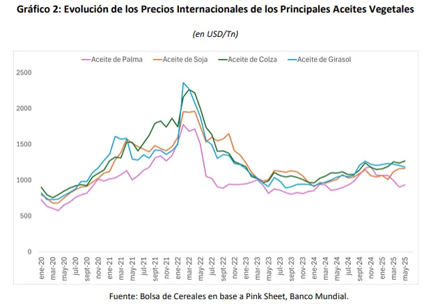 Girasol Argentino: Crece la siembra y despierta expectativas en la 2025/26