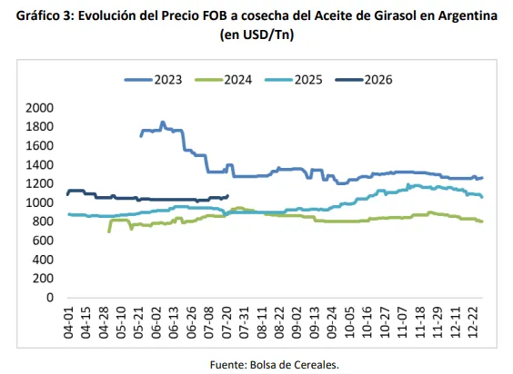 Girasol Argentino: Crece la siembra y despierta expectativas en la 2025/26