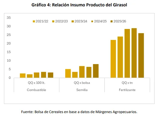 Girasol Argentino: Crece la siembra y despierta expectativas en la 2025/26