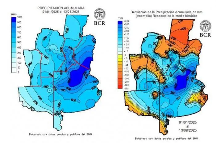 Trigo: con lluvias récord, la campaña apunta a superar los 20 millones de toneladas