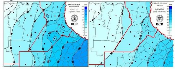Trigo en alerta: los encharcamientos complican los lotes y crece la presión de enfermedades
