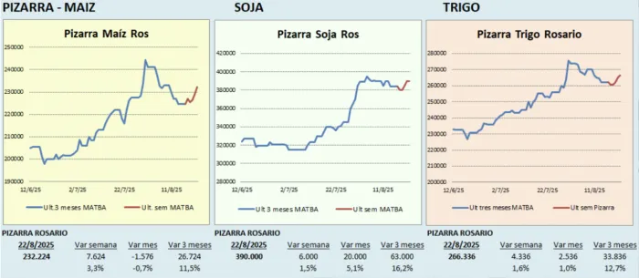 Mercado de granos: Argentina aprovecha márgenes récord mientras EE.UU. ajusta rindes y China mete presión