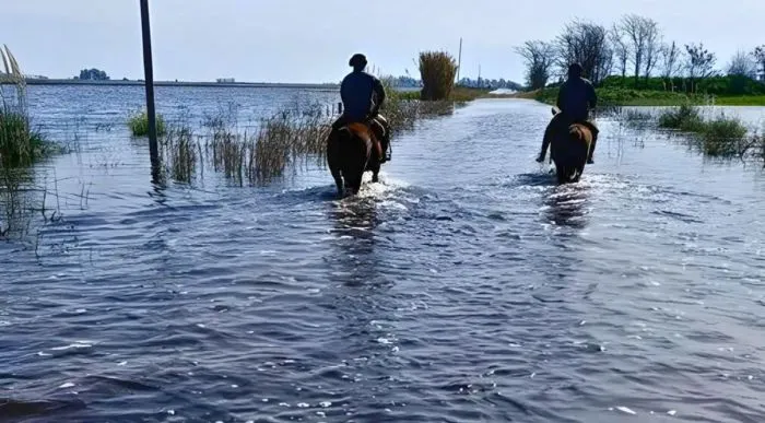 Emergencia Agropecuaria: proponen asistencia de $130.000 millones y quita de retenciones para productores afectados