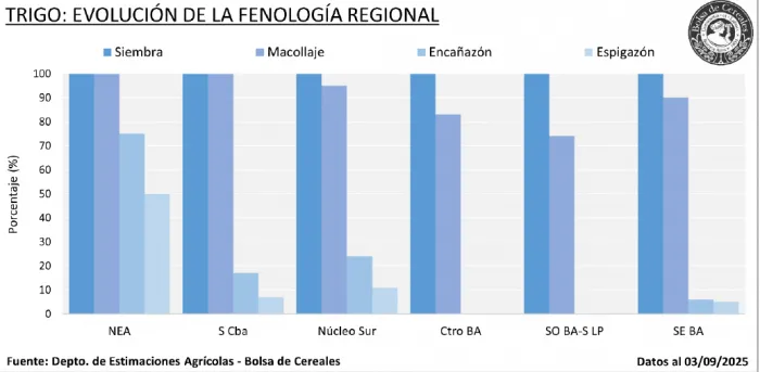 Campaña agrícola: trigo se fortalece, cebada responde y la siembra de maíz y girasol espera al clima