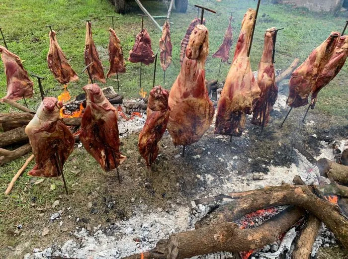 Carne de búfalo: una alternativa saludable que gana espacio en la ganadería argentina