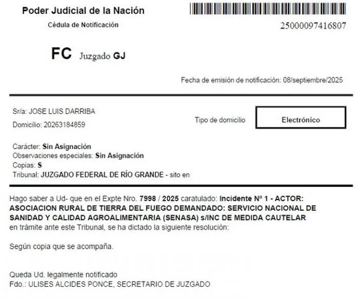Barrera sanitaria en caos: camiones con carne cruzan sin control y crece la tensión con Chile
