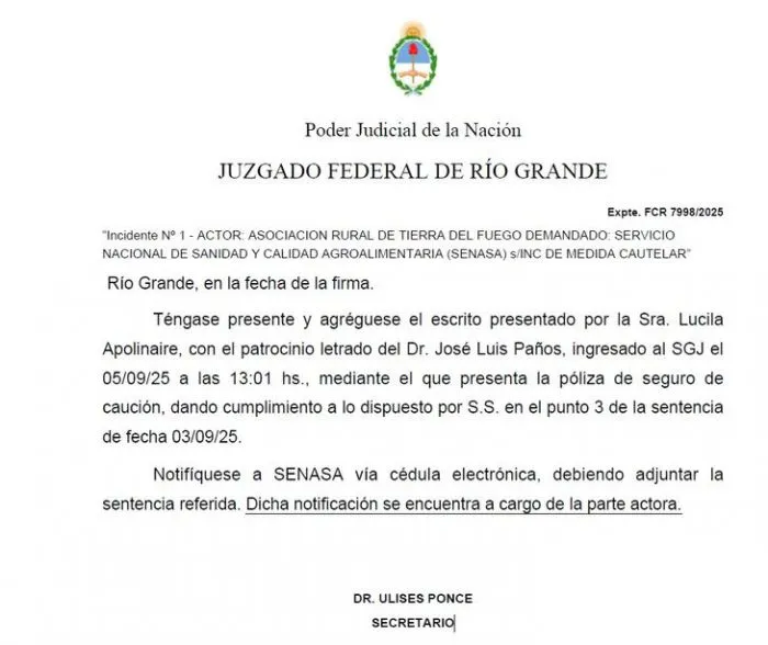 Barrera sanitaria en caos: camiones con carne cruzan sin control y crece la tensión con Chile