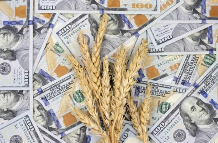 El salto del dólar oficial reordena precios y abre interrogantes para el agro argentino