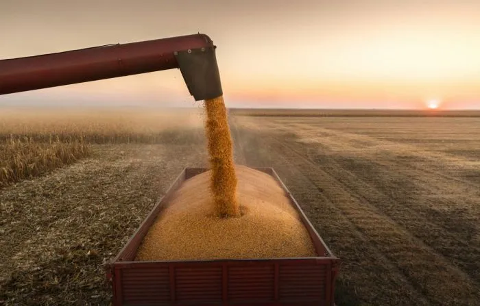 Retenciones cero: el agro vivió tres días de euforia y ahora enfrenta la pulseada por la soja