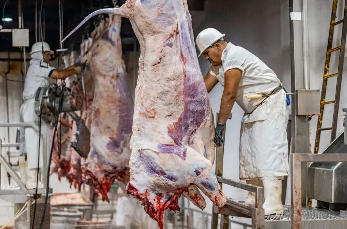 China activó en julio una cláusula de salvaguarda por exceso de importaciones por pedido de su industria.