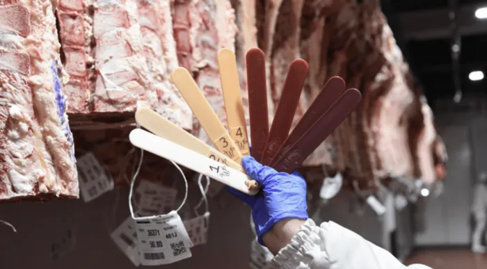 La tipificación bovina ya abarca el 95 % de la faena y consolida un nuevo estándar para la carne argentina