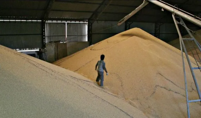 Retenciones cero y dólar en baja: por qué no subieron los precios de los alimentos básicos