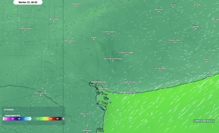 22 SEP %u26A0%uFE0F #Alerta para hoy:%uD83C%uDF2C%uFE0F #Viento%uD83D%uDFE8 35-60 km/h con ráfagas %u2265 entre 75 y 90 km/h%uD83D%uDCF2 Más información y recomendaciones: https://t.co/GRjfngFWuF pic.twitter.com/dufPLcskoWgoogletag.cmd.push(function(){googletag.display('banner_nota_300x250_2')});— SMN Argentina (@SMN_Argentina) September 22, 2025 Los mayores impactos se prevén en el sur y sudoeste de Buenos Aires y en La Pampa, donde las madrugadas del martes podrían registrar valores bajo cero en superficie. Incluso no se descarta que el fenómeno se extienda a sectores de Río Negro, generando preocupación entre productores que vienen de acelerar la siembra de maíz temprano antes de las lluvias recientes. En esas áreas, las heladas tardías pueden representar un golpe serio, ya que afectan tanto a los cultivos de invierno en pleno desarrollo como a las emergencias de los lotes recién implantados.googletag.cmd.push(function(){googletag.display('banner_nota_inline_300x250_1')});La explicación de este brusco cambio radica en el establecimiento de vientos del sur, acompañados por un marcado descenso de la humedad en las capas bajas de la atmósfera. Esa combinación genera noches despejadas y mañanas frías, el escenario ideal para la aparición de heladas radiativas. Sin embargo, se trata de un evento breve: a partir del miércoles, el retorno del viento norte impulsará una rápida recuperación térmica, típica de esta transición entre el invierno y la primavera.Para el sector agropecuario, este comportamiento climático no es un dato menor. La campaña agrícola atraviesa un momento de definiciones. Los trigos y cebadas se encuentran en etapas críticas de desarrollo, y cualquier daño por frío puede traducirse en pérdidas de rendimiento. En paralelo, la implantación de maíz avanza a contrarreloj, y la amenaza de bajas temperaturas obliga a muchos productores a recalibrar sus planes de siembra. Cada día perdido puede significar un mayor riesgo de superposición con los picos de calor de diciembre y enero, lo que complica aún más las proyecciones.Pronóstico de valores mínimos para el martes 23 de septiembre, basado en el modelo europeo de alta confianza ECMWF."