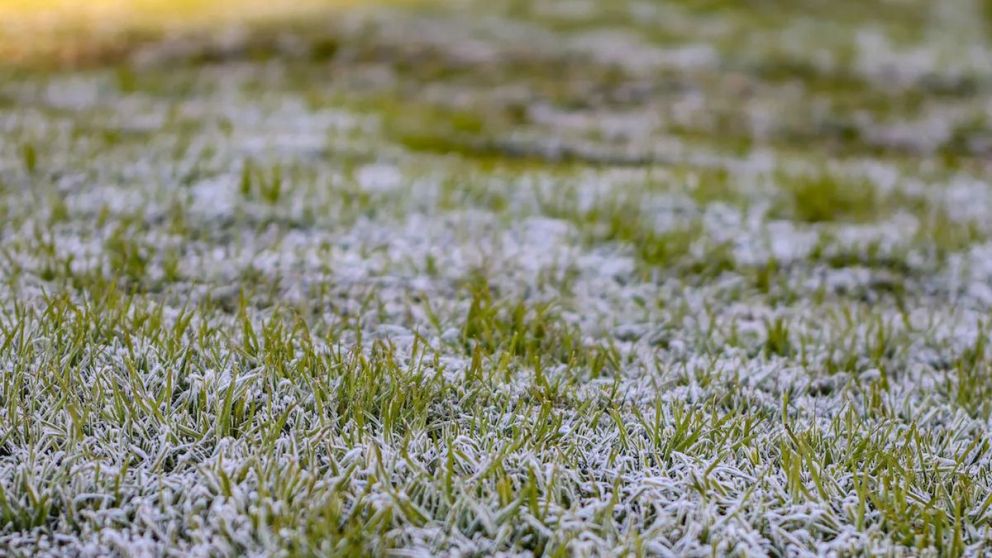 El tiempo en Argentina: tras las tormentas, llegan heladas que preocupan al agro