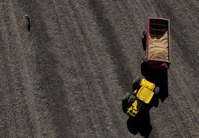 China compra soja argentina tras baja de impuestos y deja fuera a productores de EE. UU.