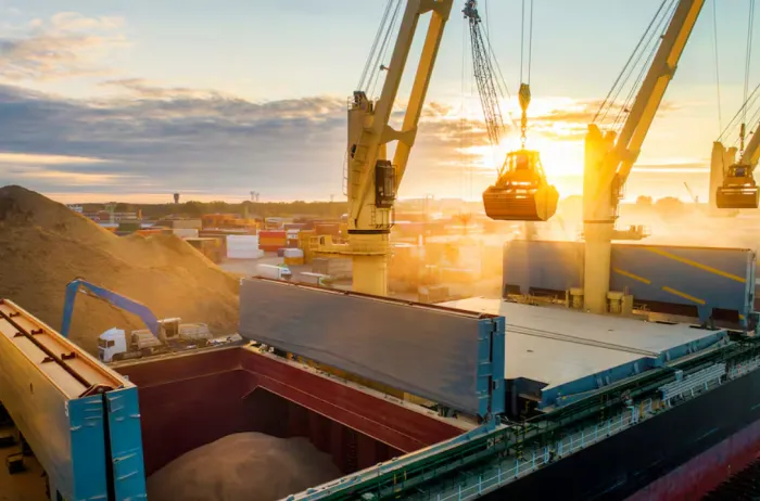 China compra soja argentina tras baja de impuestos y deja fuera a productores de EE. UU.