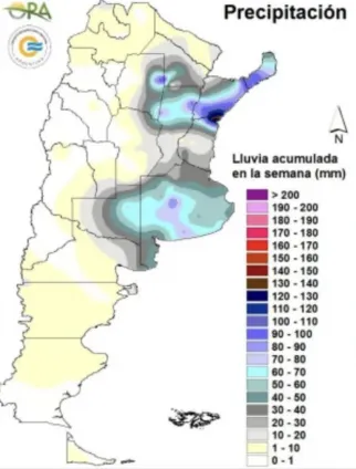 Trigo en alerta: los excesos hídricos ponen en jaque la cosecha en Santa Fe y Buenos Aires