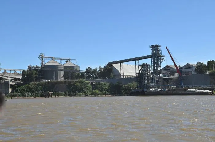 Exportaciones agrícolas: tras suspender retenciones ya se alcanzó el 60% de la meta en solo tres días