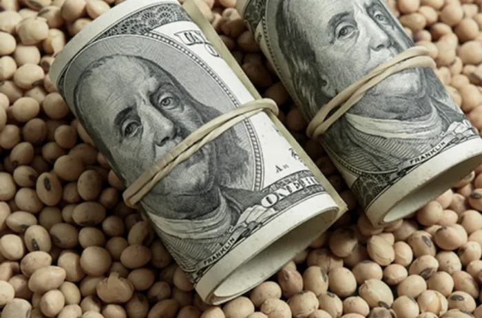 Liquidaciones récord del campo presionan al dólar mayorista y se hunde