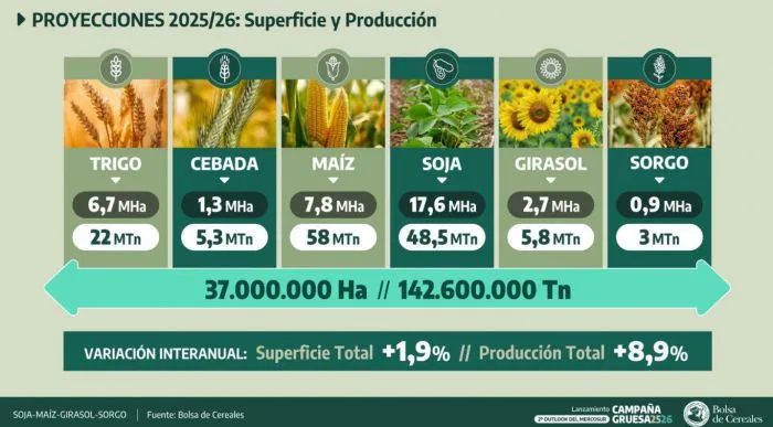 Campaña Gruesa 2025/26: la Bolsa de Cereales pide eliminar impuestos y proyecta récord en maíz y girasol