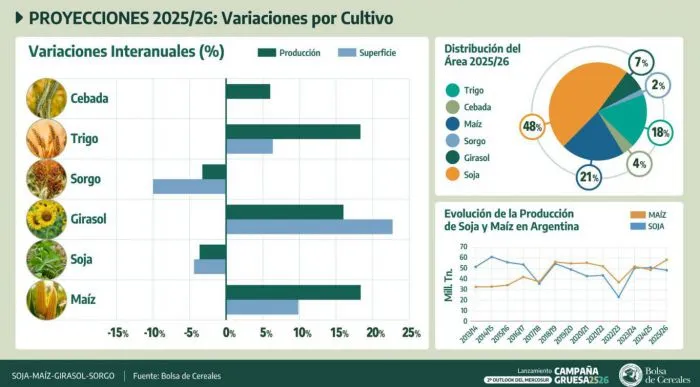 Campaña Gruesa 2025/26: la Bolsa de Cereales pide eliminar impuestos y proyecta récord en maíz y girasol
