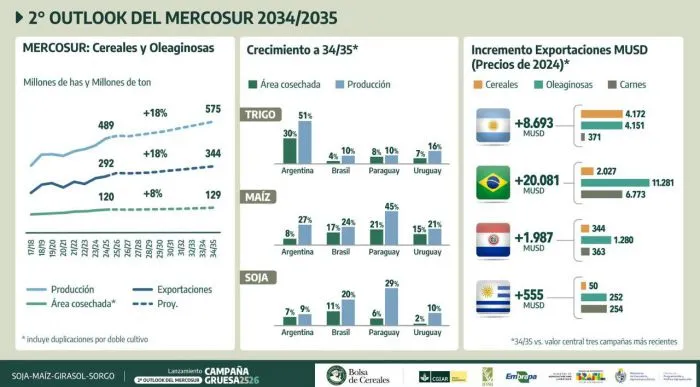 Campaña Gruesa 2025/26: la Bolsa de Cereales pide eliminar impuestos y proyecta récord en maíz y girasol