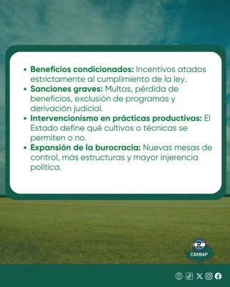 Ley de Suelos en debate: productores alertan por un avance sobre la propiedad privada en Buenos Aires