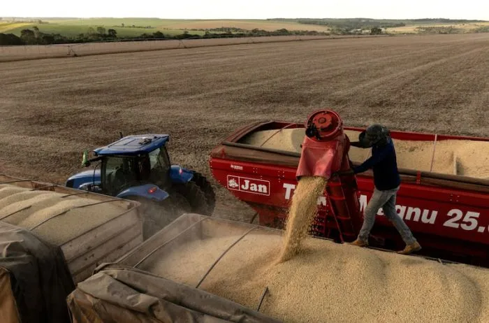 Soja y guerra comercial: el cóctel que reconfigura el tablero agrícola mundial