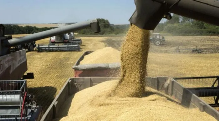 Soja y guerra comercial: el cóctel que reconfigura el tablero agrícola mundial