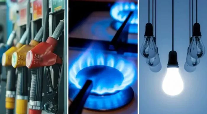 &nbsp;Vivienda, agua, electricidad, gas y otros combustibles (3,1%),