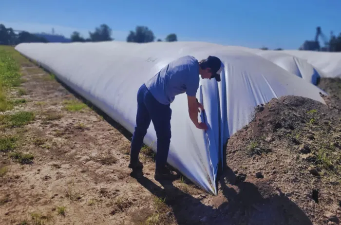 Monitoreo inteligente: el nuevo aliado del agro para cuidar la calidad del grano argentino