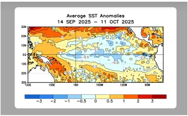 La Niña llegó a la Argentina: se esperan lluvias irregulares y calor extremo en gran parte del país